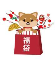 2018-happy-bag-1